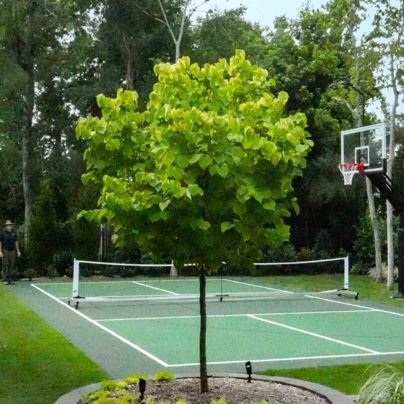 The Woodlands, TX Outdoor Living Space