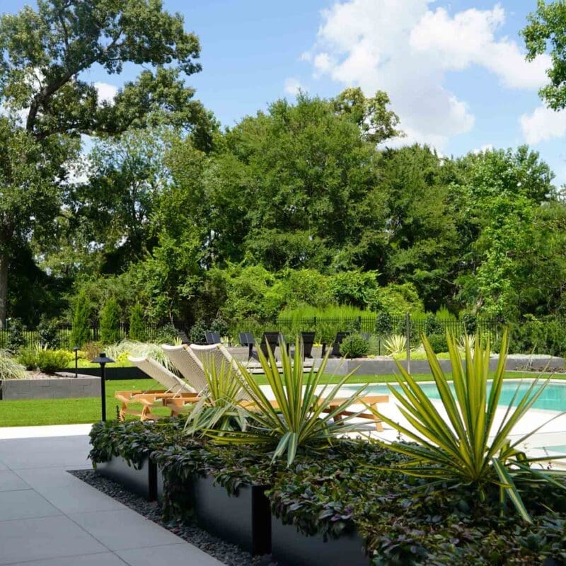 The Woodlands, TX Landscaping Companies