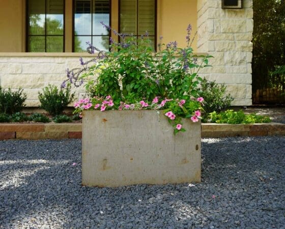 DSC02558 Metal Planter