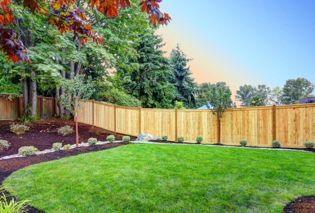 Backyard Landscape Tips for Early Spring