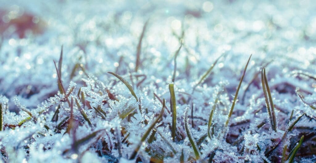 Winterize your irrigation system to avoid costly damage