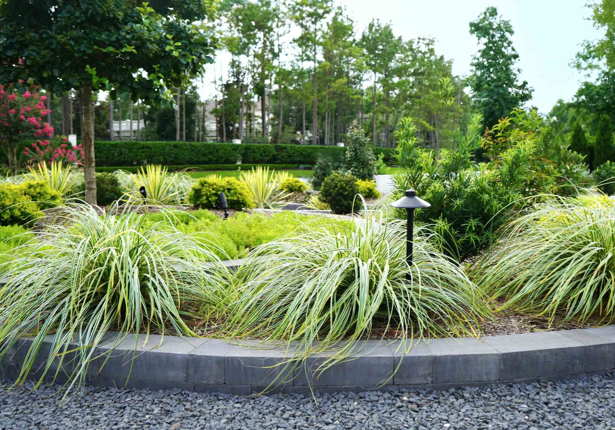 The Woodlands, TX Landscaping Companies